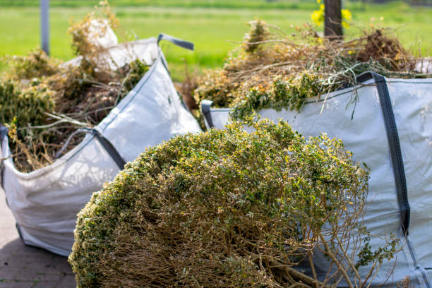 Best Electronics Removal Services  in Keokuk, IA